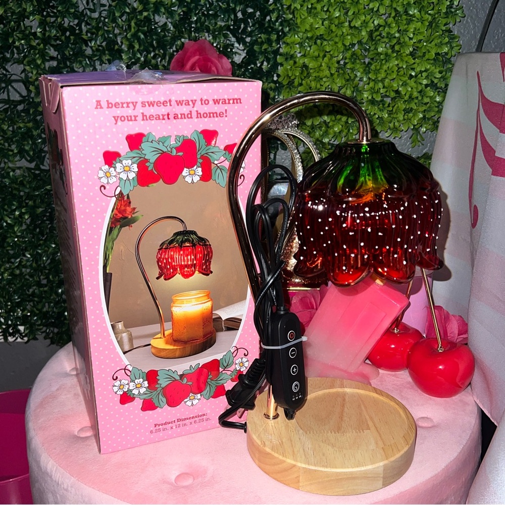 🩷🍓Strawberry Shortcake candle warmer